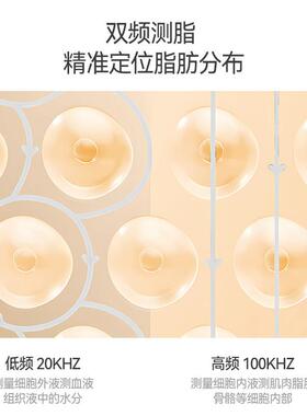 体脂智能体重秤家用精准电子秤减肥专用称重减脂小型电子秤