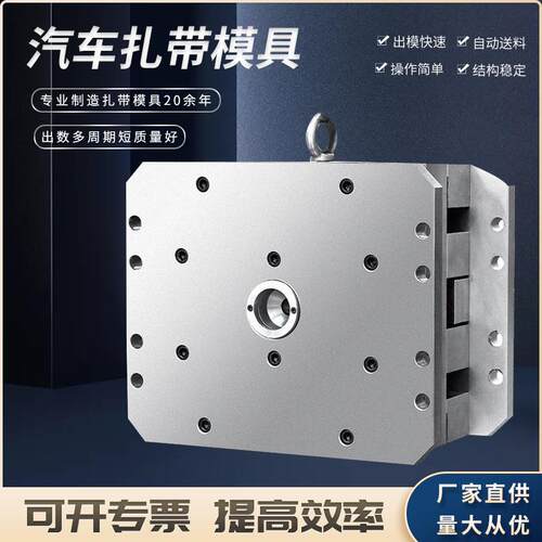 尼龙扎带模具 塑料注塑模具 汽车扎带模具厂家供应精密扎带模具 - 图2