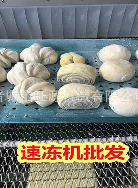 食品全套速冻生产线 清洗蒸煮速冻包装一体化设备 预制菜速冻机组