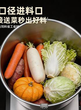 大功率碎菜机喂鸡不锈钢家用切碎铡草蔬菜养殖饲料粉碎机切菜