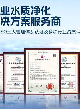 EDI超纯水设备双级ro反渗透设备工业商业实验室去离子水处理设备