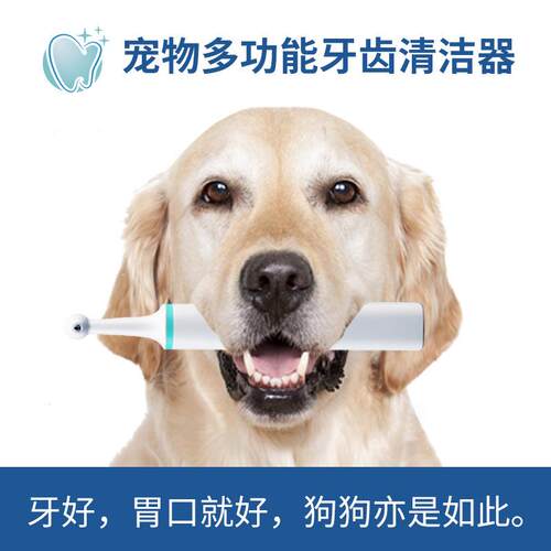 宠物电动牙刷抛光器泰迪狗猫犬口腔清洁工具去牙渍牙垢亮白牙齿 - 图0