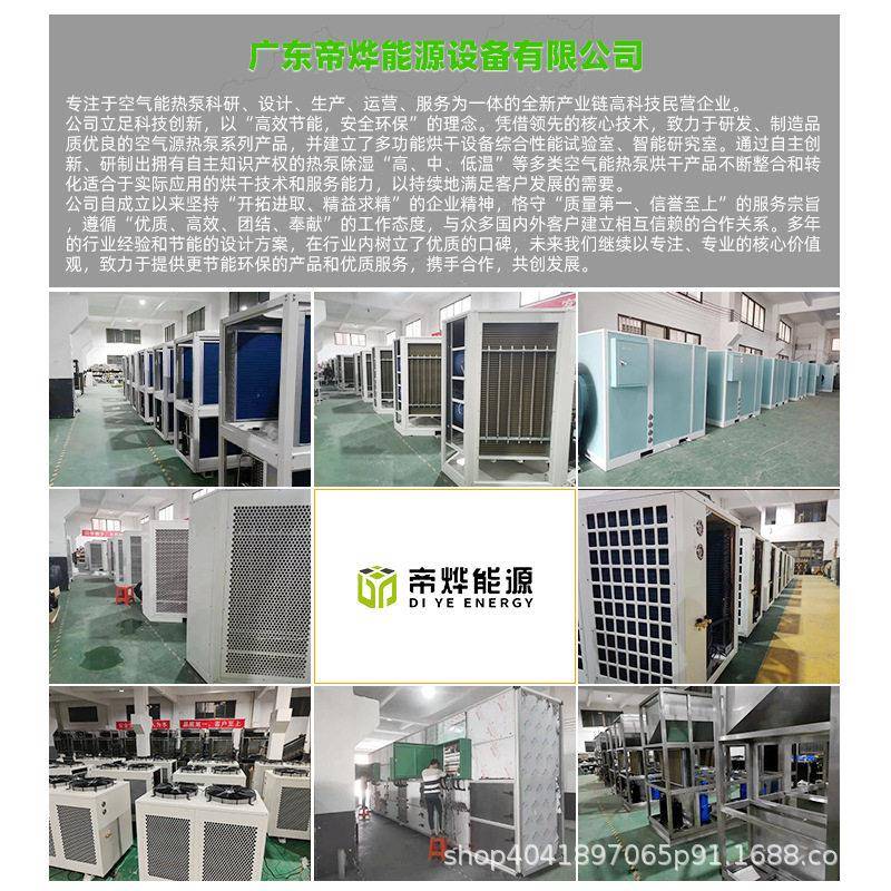 Diye Commercial Intelligent Automated Air Energy Sausage Dryer Factory Meat Food Drying and Air-drying Equipment