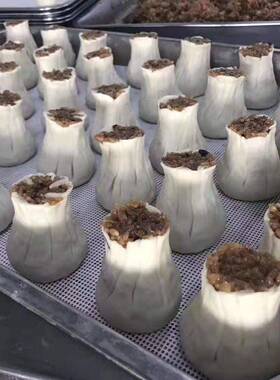 【可供出口】汤包机三鲜包奶黄包肉馅包生煎包小笼包