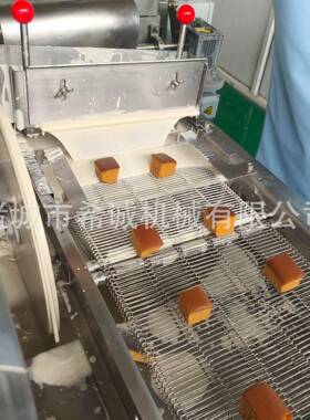 巴旦木坚果巧克力涂层裹涂设备 304 不锈钢 可配冷却隧道源头工厂