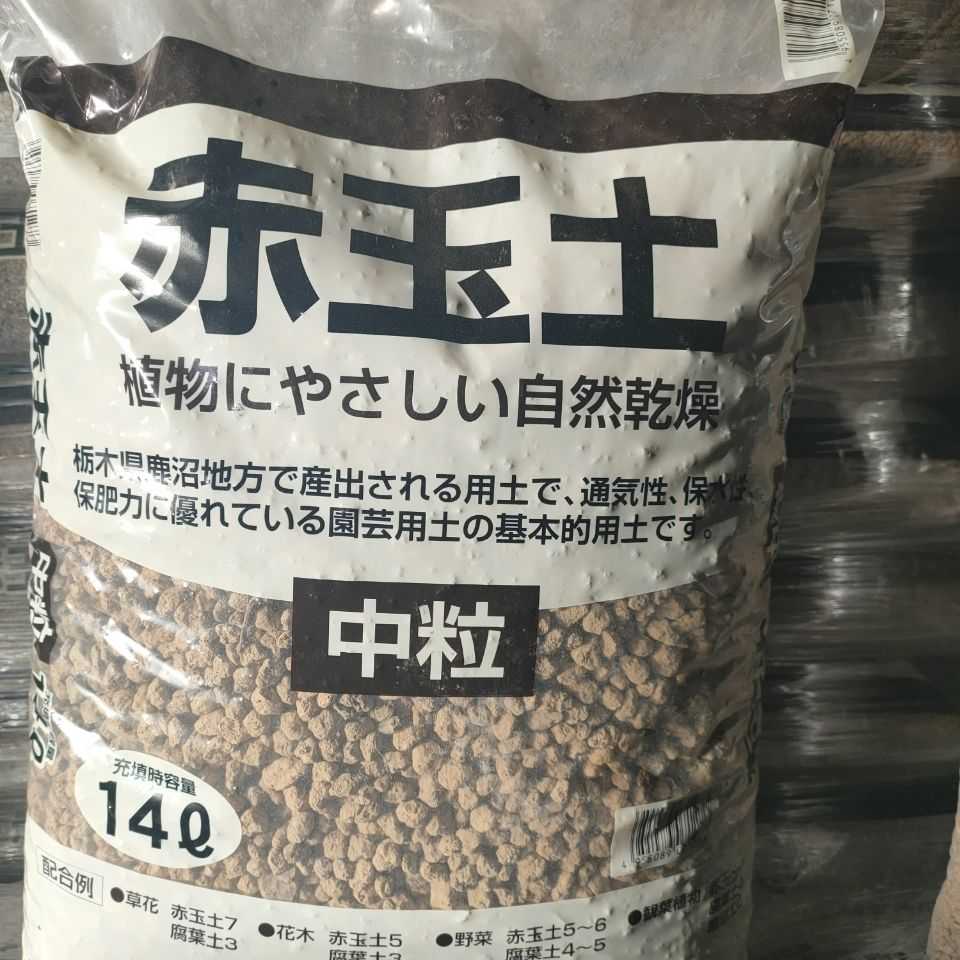 日本进口大包 新人首单立减十元 22年6月 淘宝海外