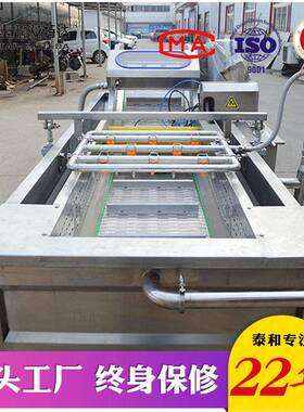 潜江小龙虾清洗流水线海鲜水产品气泡清洗机龙虾加工生产线