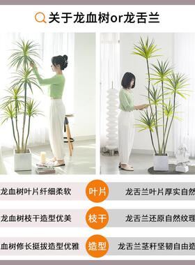 彷真绿色植物假植物轻奢客厅装饰树室内大型盆栽龙血树落地摆件彷