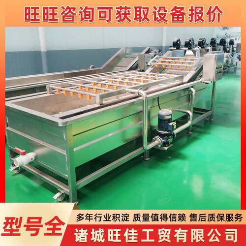蔬菜气泡清洗设备金桔冬枣喷淋式清洗机不锈钢苹果果蔬清洗线 - 图0