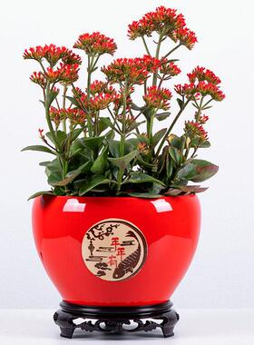 特大号花盆陶瓷绿植盆栽盆绿萝盆带塑料底座个性中国风花卉盆简约