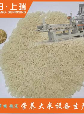 人大米设备 造速食米加设备 冲泡自热米机器 米CY75强化营养生产