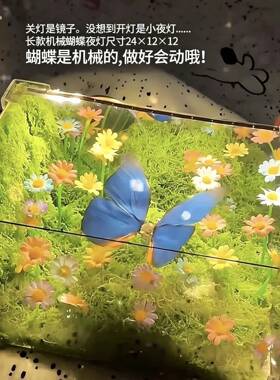 绿野仙踪蝴蝶小夜灯机械手工diy材料包立体花海镜子送情人节礼物