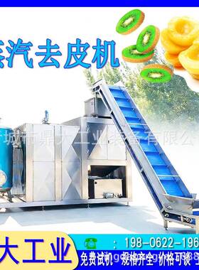 型黄桃蒸汽去皮机稳定运行少果肉损耗鲜果加工机械设备