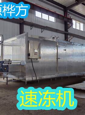 源桦方小型隧道速冻机设备预制菜快速冷冻生产线商用低温速冻机