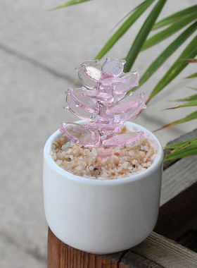 仙人掌办公室工艺品淄博装饰摆件