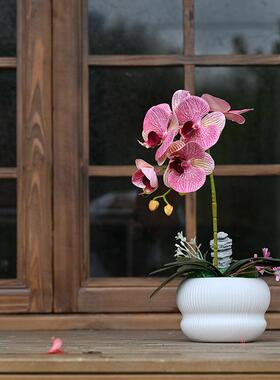蝴蝶兰假花仿真花客厅摆设餐桌花摆花小盆栽室内高档花艺摆件装饰