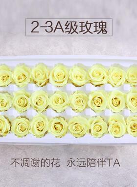 干花永生花花材玫瑰2-3A级 圣诞节花束礼盒手工制作厂家直销