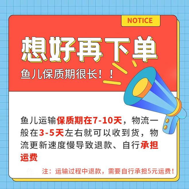 热带观赏鱼红蓝斑马鱼小型金鱼苗观赏鱼蝶翼精品孔雀红绿灯科活体 - 图1