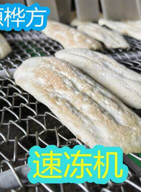 源桦方猪肉包速冻机腊肠冷冻加工设备鱿鱼圈冷冻机