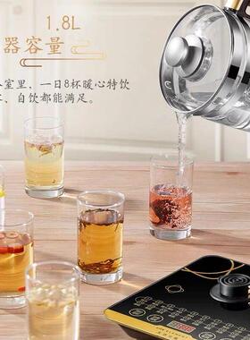 德国养生壶2024新款家用1.8L多功能炖煮一体煮茶壶花茶壶煎药壶