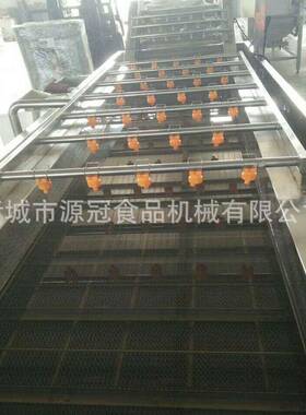 定制菠菜萝卜清洗机 果蔬气泡洗菜机预制菜清洗加工成套设备 源冠