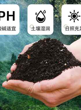 通用型大包营养土养花绿植肥料土壤种菜绿萝家用有机花泥花土专用