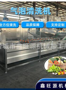 加工定制商用全自动压喷淋式气泡清洗机荠菜连续式气泡净洗机
