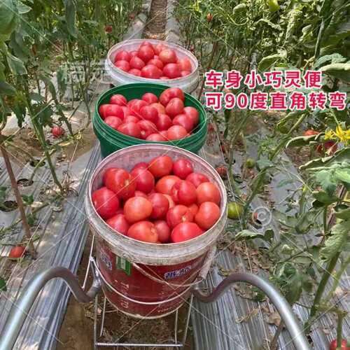 大棚蔬菜采摘运输车农用多桶黄瓜番茄省力单轮车拉小推车懒汉车 - 图2