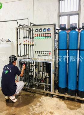 车用尿素用反渗透＋EDI超纯水设备电子光学用超纯水系统去离子水