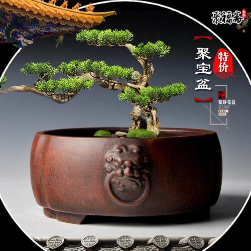 紫砂盆景盆 长方形马槽假山造景盆小叶紫檀文竹菖蒲盆栽花盆清仓 - 图0