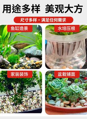 天然彩色小石子鱼缸造景鱼类装饰底砂雨花石多色小颗粒养花铺面石