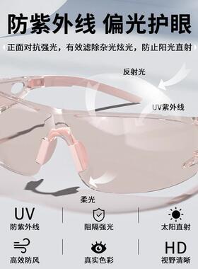 防风眼镜户外骑行护目镜日夜两用运动防雾徒步登山自行车专用太阳