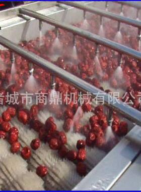 供应诸城商鼎蔬菜清洗流水线    果蔬清洗流水线 果蔬清洗设备