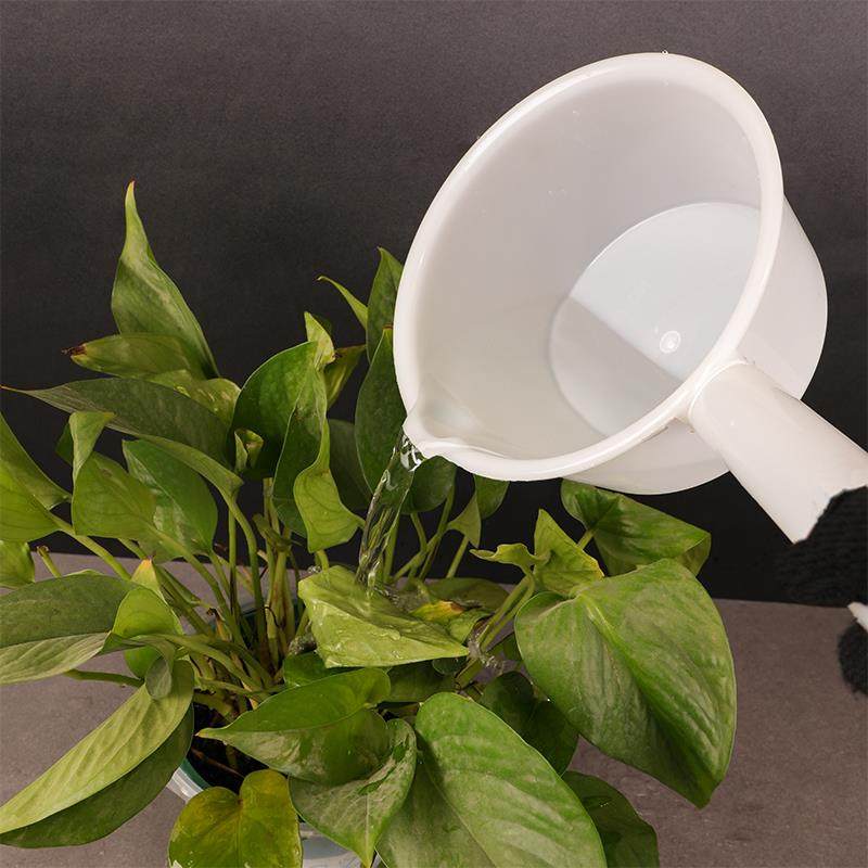 加厚塑料水瓢工业水瓢长柄白色水壳水舀耐酸碱摔不破熟胶平底水勺,淘宝优惠券,粉丝福利购,淘宝优惠卷