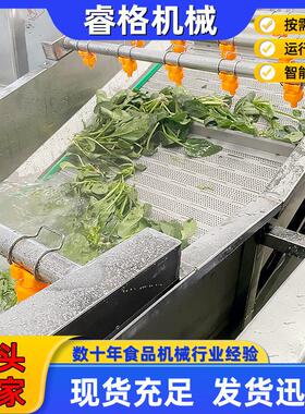 气泡蔬菜清洗机厂家 全自动多功能根茎类叶类蔬菜清洗机 果蔬清洗