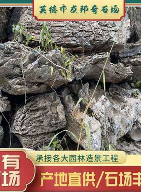 英德石场英石小英石天然景观石青龙石叠石假山石庭院花园造景园林