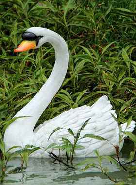仿真浮水天鹅摆件花园庭院酒店大型喷泉水池旁边装饰摆设动物雕塑