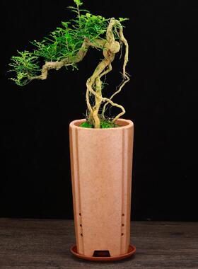 柴烧素面紫砂兰花盆带侧孔创意陶瓷蝴蝶兰君子兰客厅四方六方盆景