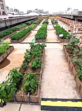 阳台种菜盆户外庭院屋顶绿化多功能组合式室内蔬菜种植箱塑料花盆