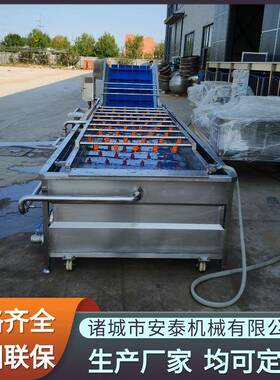 大白菜气泡清洗机中药材浸泡去泥清洗设备新疆大枣多功能清洗机