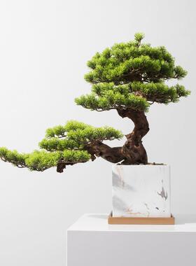 仿真植物崖柏迎客松盆景摆件茶楼酒店玄关桌售楼处新中式软装饰品