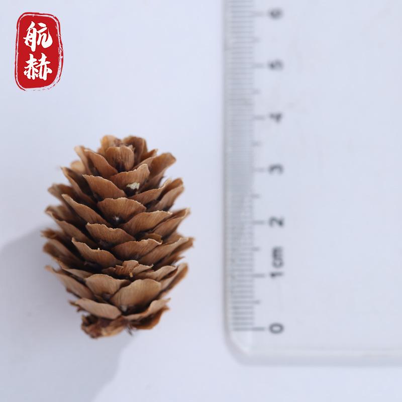 松果扩香木家用卧室扩香器风油精花露水无火香薰桌面摆件车载精油 - 图0