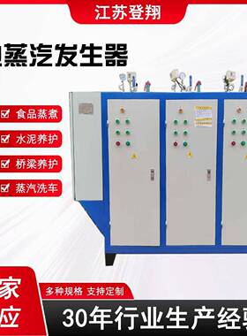 全自动电加热蒸汽发生器工业用桥梁锅炉食品蒸煮商用小型节能加温