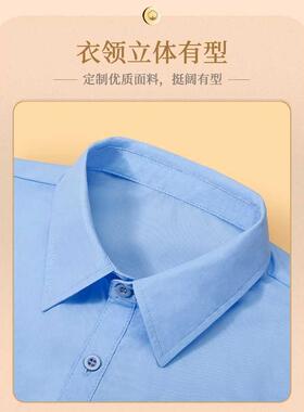 韩版纯棉白色衬衫假领子女春夏秋冬百搭衬衣假领男通用衣领装饰领