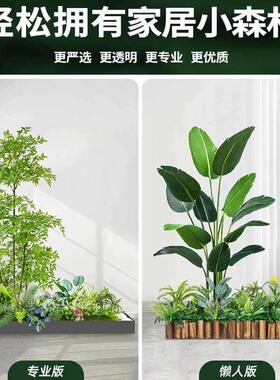 彷真绿色植物造景组合服装店橱窗氛围感装饰造景庭院景观布置彷生