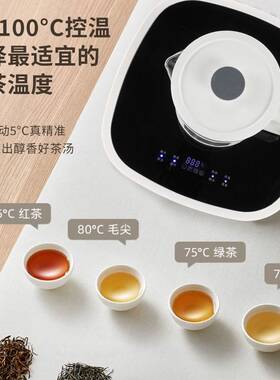 袋W-201装水专用饮水机全动自上手柄水烧家用办公室水养生调温度