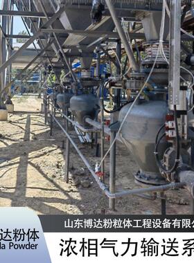 浓相气力输送系统粉煤灰粉体远距离设备管式干粉送料机