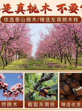 七根桃木枝摆件真桃树东南枝五色线招财防惊吓随身携带朱砂老桃木