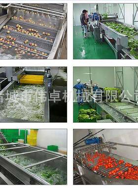 供应西蓝花生菜喷淋清洗机小油菜净菜加工设备蓝莓气泡清洗机
