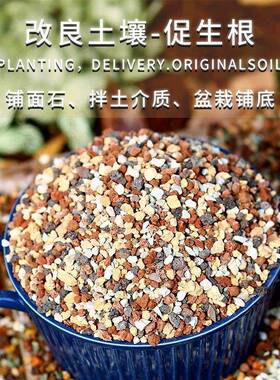 多肉彩虹石纯颗粒绿沸石火山石麦饭石虹彩石赤玉土多肉专用铺面石